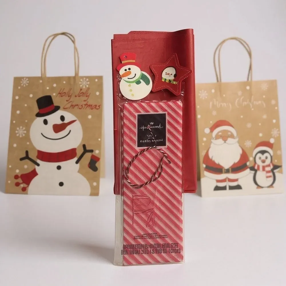 W4. Festive Holiday Gift Bag Set